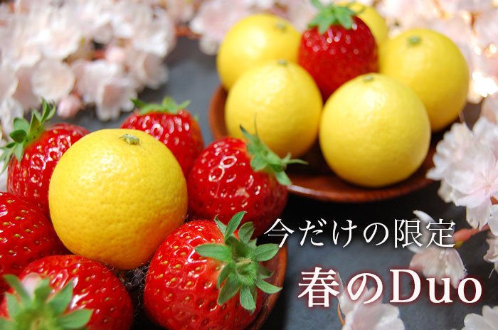春のDuoの詳しいページはこちらからどうぞ
