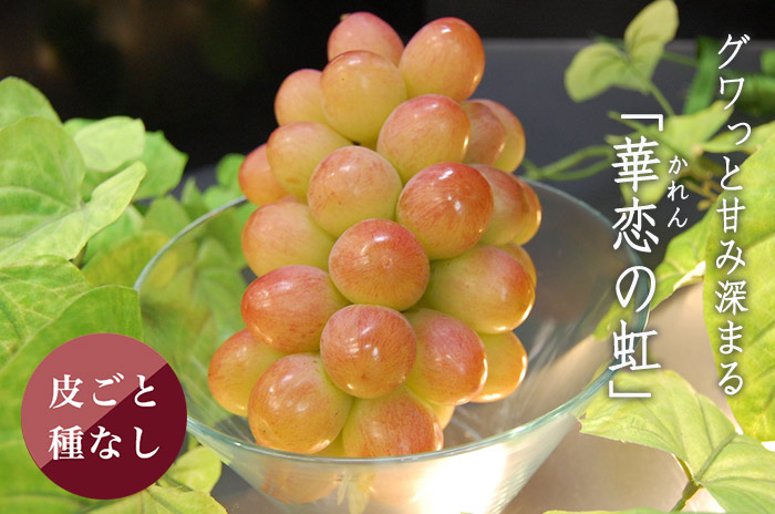 華恋の虹ぶどうの詳しいページはこちらからどうぞ