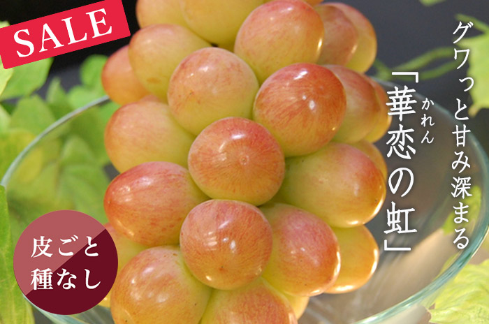 華恋の虹ぶどうの詳しいページはこちらからどうぞ
