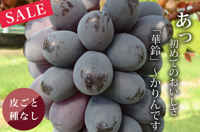 華鈴ぶどうのお詰め合わせの詳しいページはこちらからどうぞ