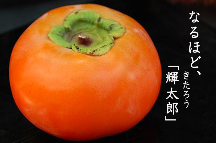 輝太郎(きたろう)