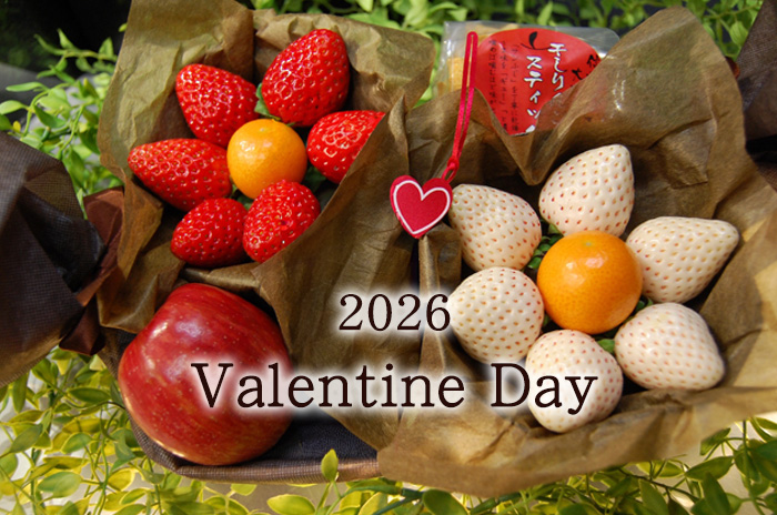 バレンタインの詳しいページはこちらからどうぞ