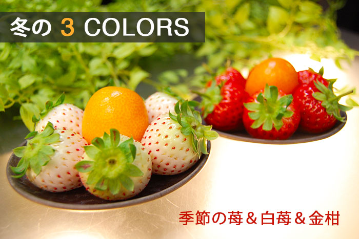 冬の3colorsの詳しいページはこちらからどうぞ