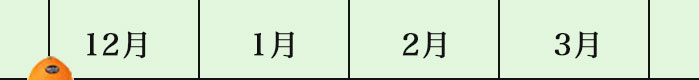 この時期おいしい柑橘カレンダー
