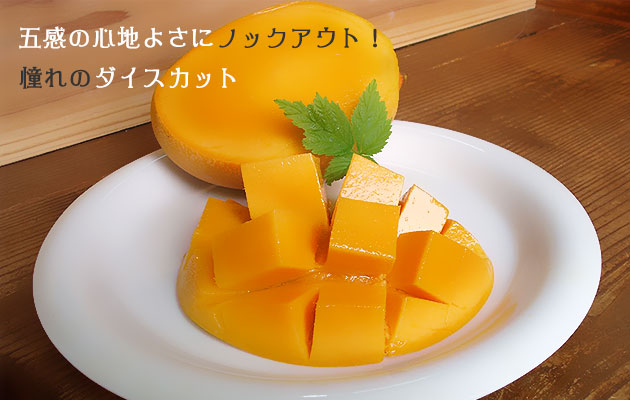憧れのダイスカット