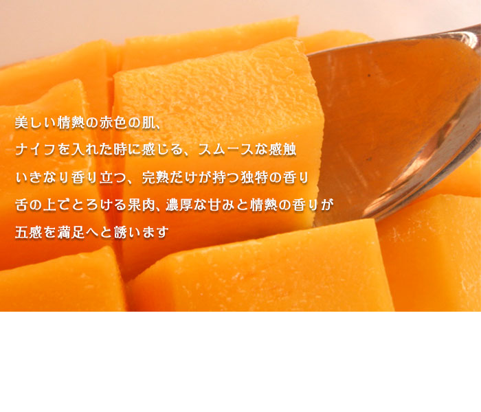 選べるサイズ