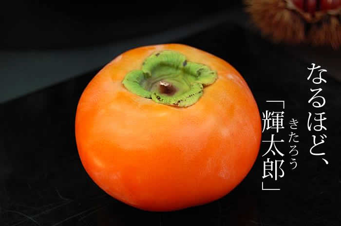 くだもんやが選んだ１０月の旬の高級甘柿「輝太郎」、鳥取県猪口農園さんの輝太郎は、標高が高く昼夜の温度差が大きく、甘く、ジューシーな甘柿が生まれます。くだもんやが仕入れ、選別してお届けします