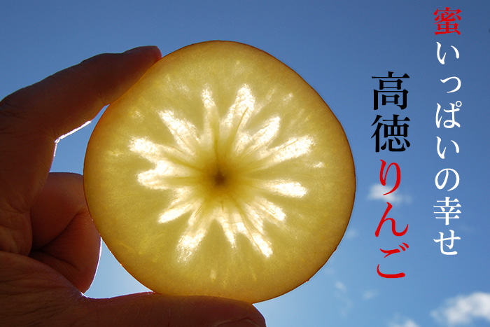 くだもんやが選んだ旬のりんご「高徳りんご」蜜が入りやすく、まるでジュースをかじっているような味覚