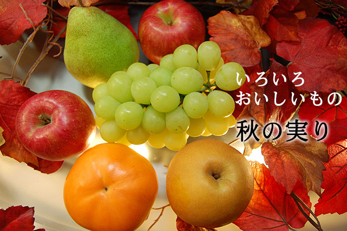 晩秋の詰め合わせ
