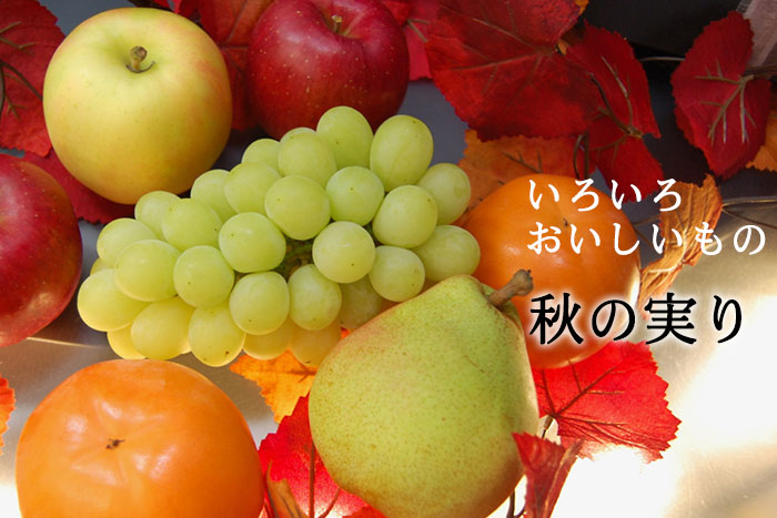 November 晩秋のお詰め合わせ