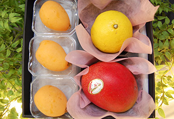 母の日フルーツギフト