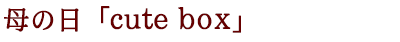 母の日フルーツお詰め合わせ「cute box」