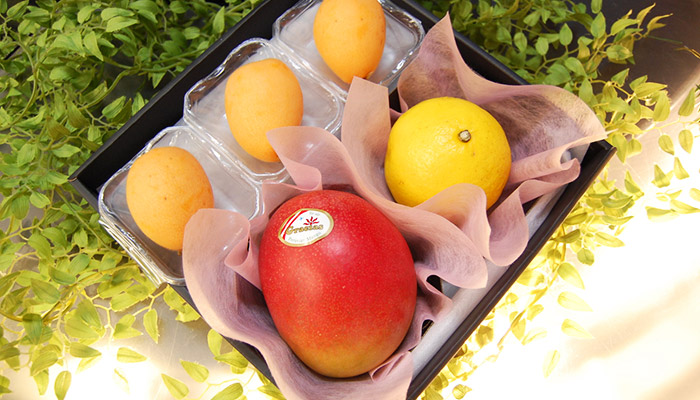 母の日フルーツcute box、美生柑、マンゴー