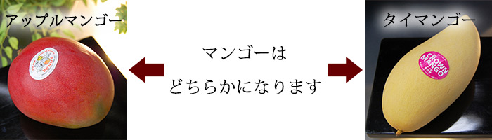 マンゴーの種類