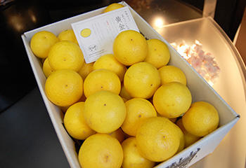 黄金柑ご家庭用