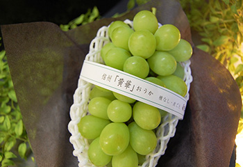 黄華大房１房入りギフトボックス