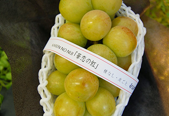 新登場の葡萄「華恋の虹」