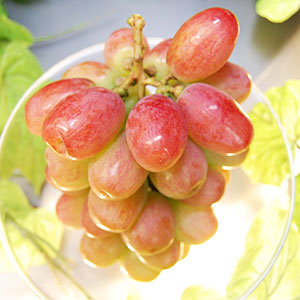 皮が薄く、そのまま食べやすい!