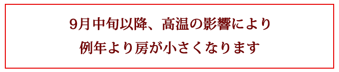 お届け時期は8月下旬