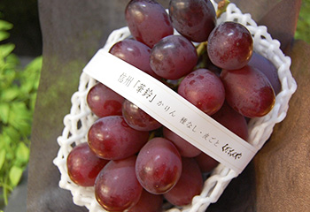 華鈴ぶどう一房
