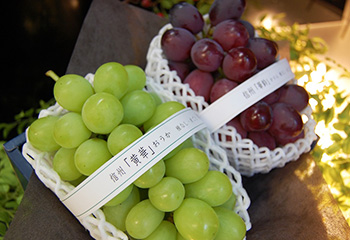 最高品質ぶどう2種お詰め合わせ