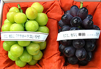 黄華＆華鈴ぶどうお詰め合わせ