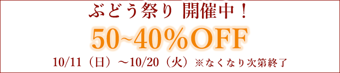 期間限定セール中