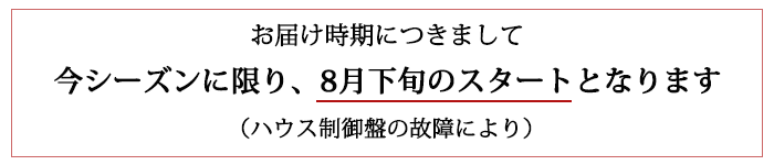 お届け時期は8月下旬