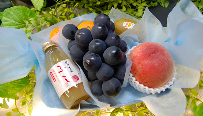 ラッピングフルーツ fruful summer