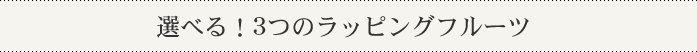 選べる！3つのラッピングフルーツ