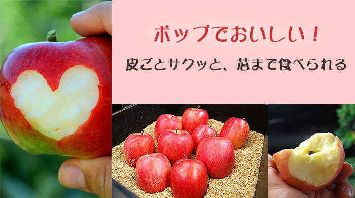 皮ごとサクッと、芯まで食べられる