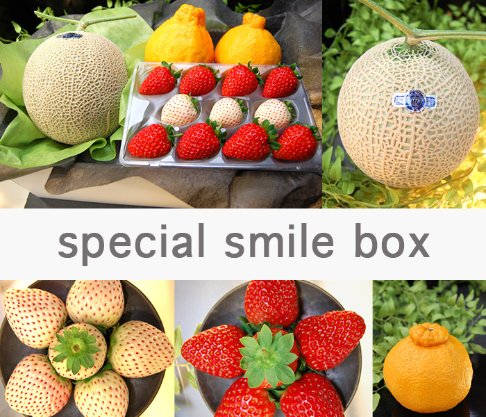 2月 3月の旬フルーツ詰め合わせ Smile Box くだもんや