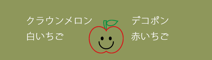 2月、3月旬のフルーツ：スペシャルスマイル　まりひめ苺・クラウンメロン・白いちご　デコポン