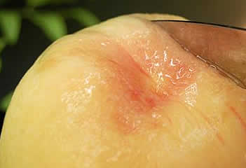 水蜜桃2Lサイズ3玉入り