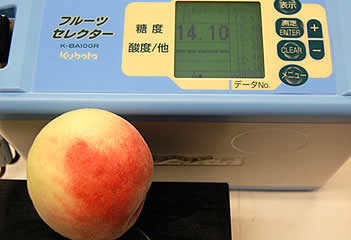 光センサー桃3玉入