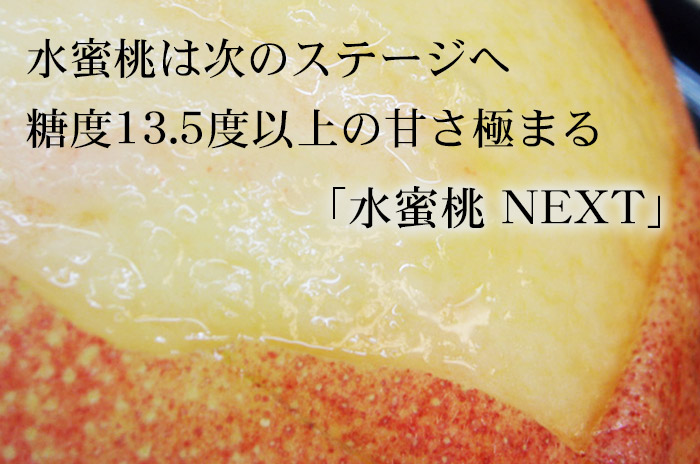 確実に甘い桃、くだもんやの光糖度センサーで１果１果検品し、合格した品だけを全国にお届けします。甘い桃ならくだもんや