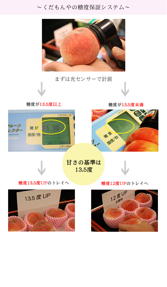 糖度保証システム