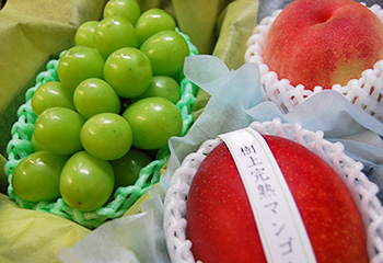 お中元おすすめ果物進物