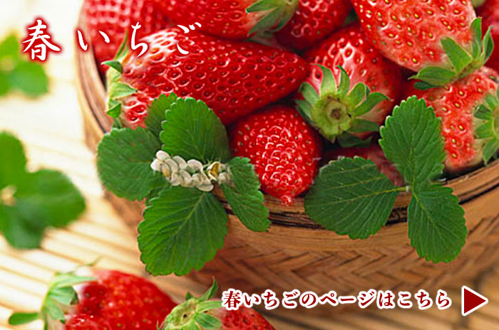 春いちごのページはこちら