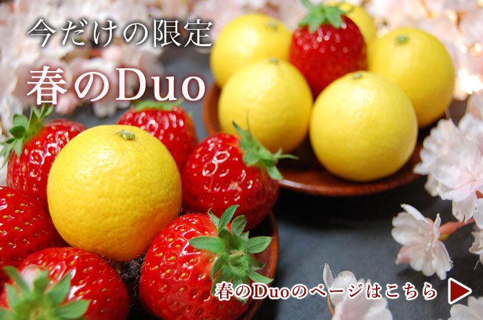 春のDuoのページはこちら