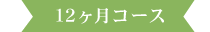 12ヶ月コース