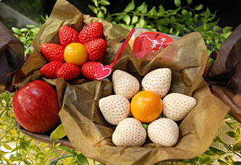 くだものラッピング