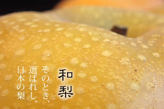 フルーツコーディネーターが選んだ梨、季節により美味しい品種、美味しい産地を選んで全国にお届けします。選ばれし日本の梨「和梨」「新甘泉」「南月」「南水」「あきづき」