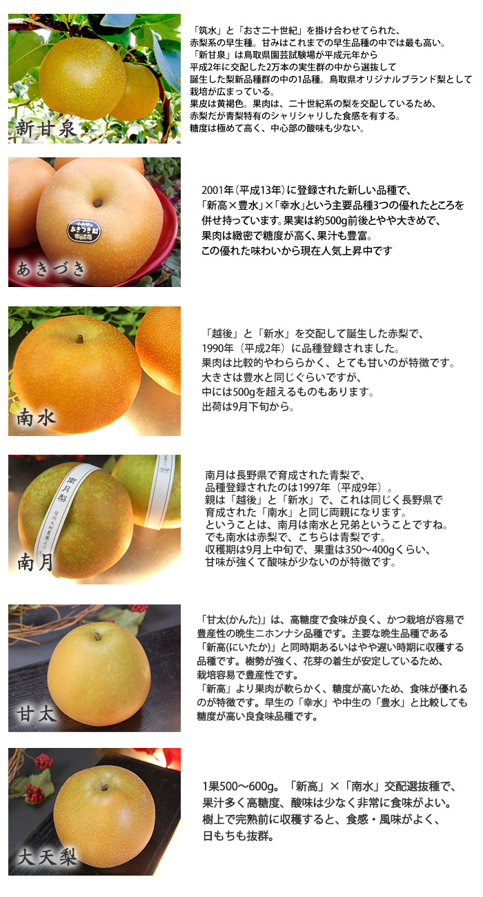 和梨の種類