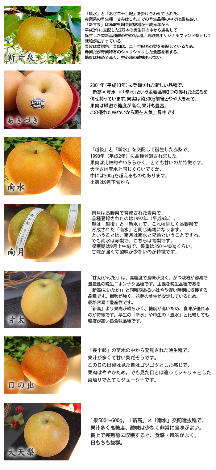 和梨の種類