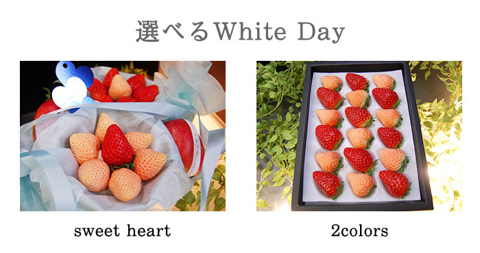 選べる2種類のホワイトデープレゼントギフト