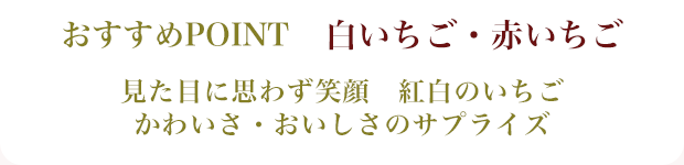 おすすめ
