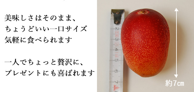 ちょうどいい一口サイズ